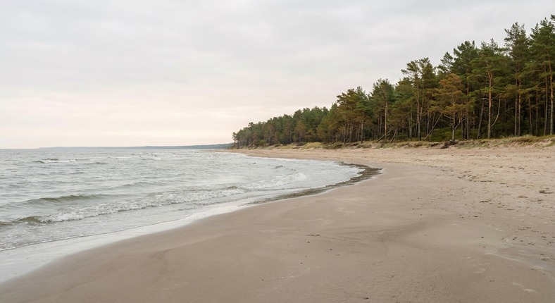 Латвия: Рига и архитектура старого города.